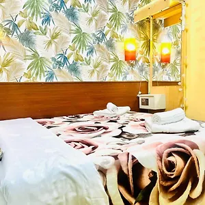 Affittacamere Green Guesthouse, Roma
